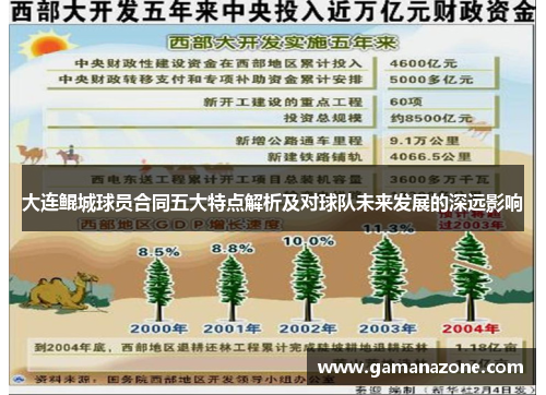 大连鲲城球员合同五大特点解析及对球队未来发展的深远影响