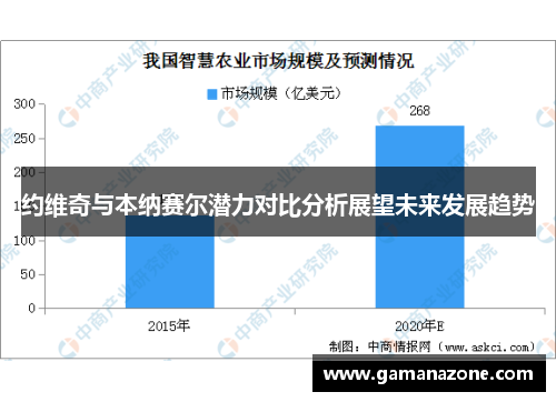 约维奇与本纳赛尔潜力对比分析展望未来发展趋势